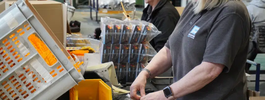 Fabrication & Assembly